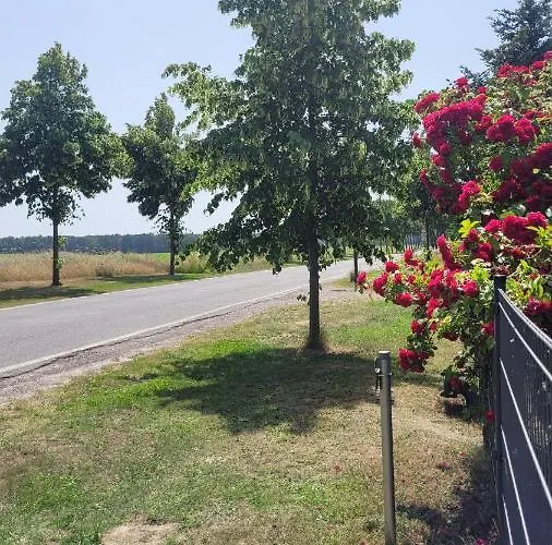 Traudis Lejlighed Brunow